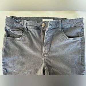 Loft Gray pant brushed twill